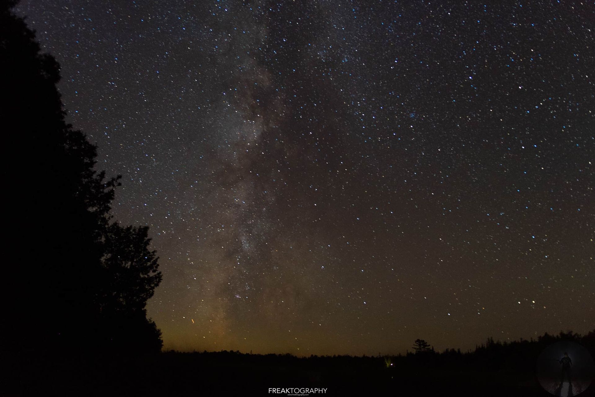 A night sky filled with lots of stars and trees in the foreground