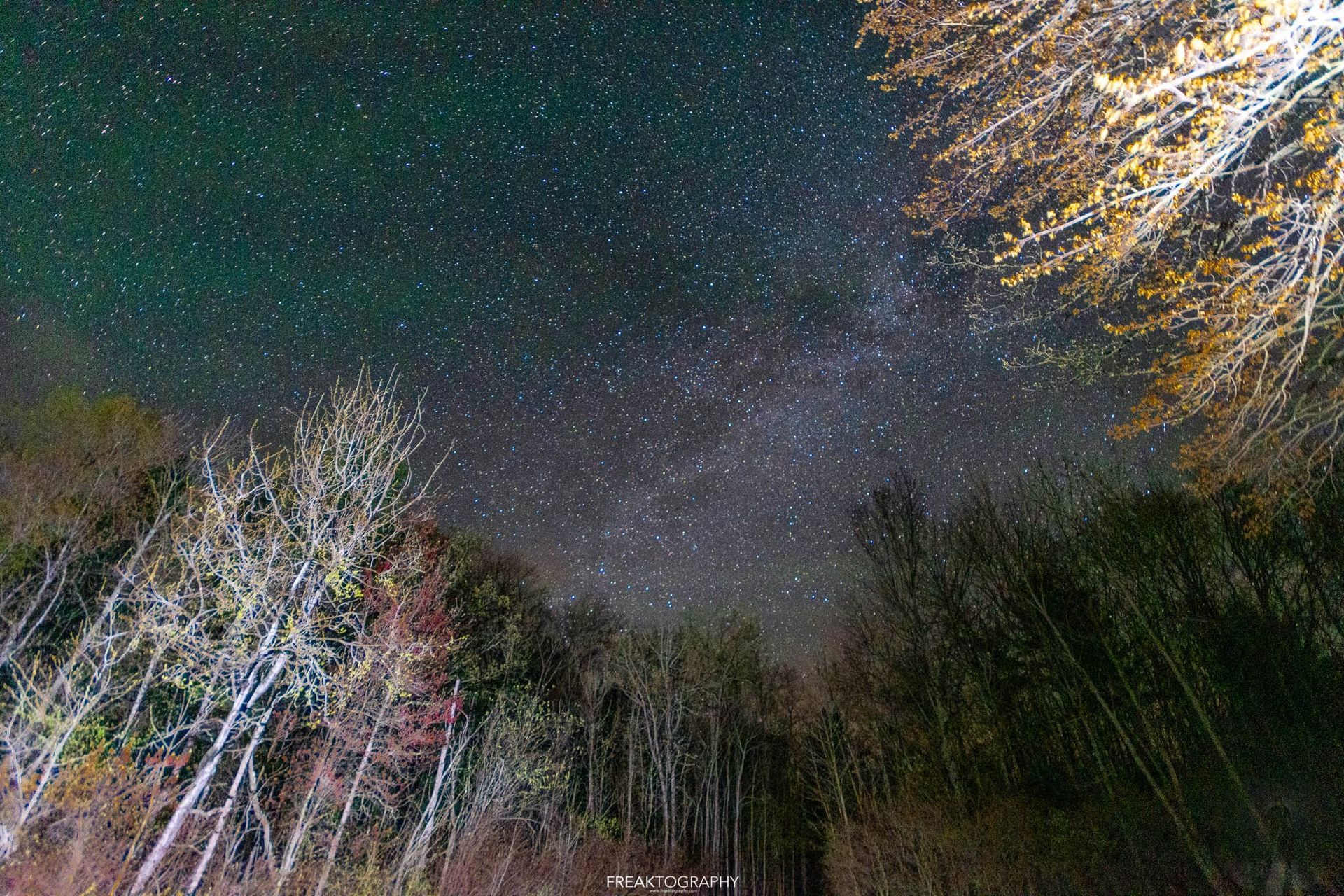 A night sky filled with lots of stars over a forest.
