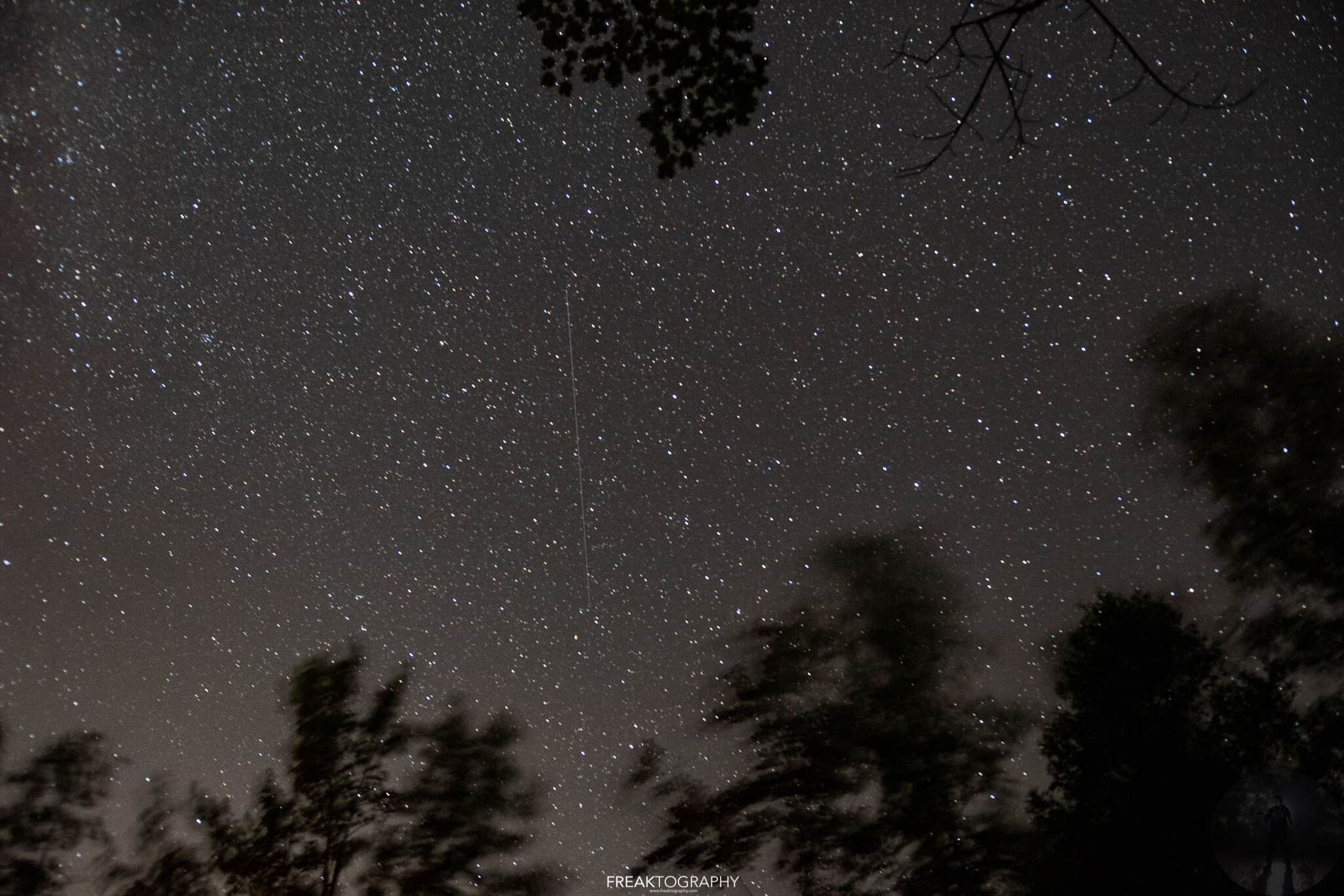 A starry night sky with trees in the foreground