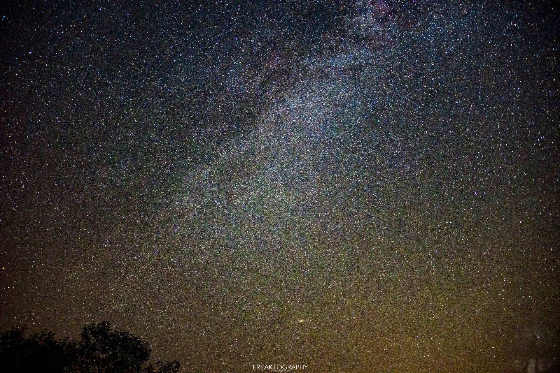 A starry night sky with a tree in the foreground