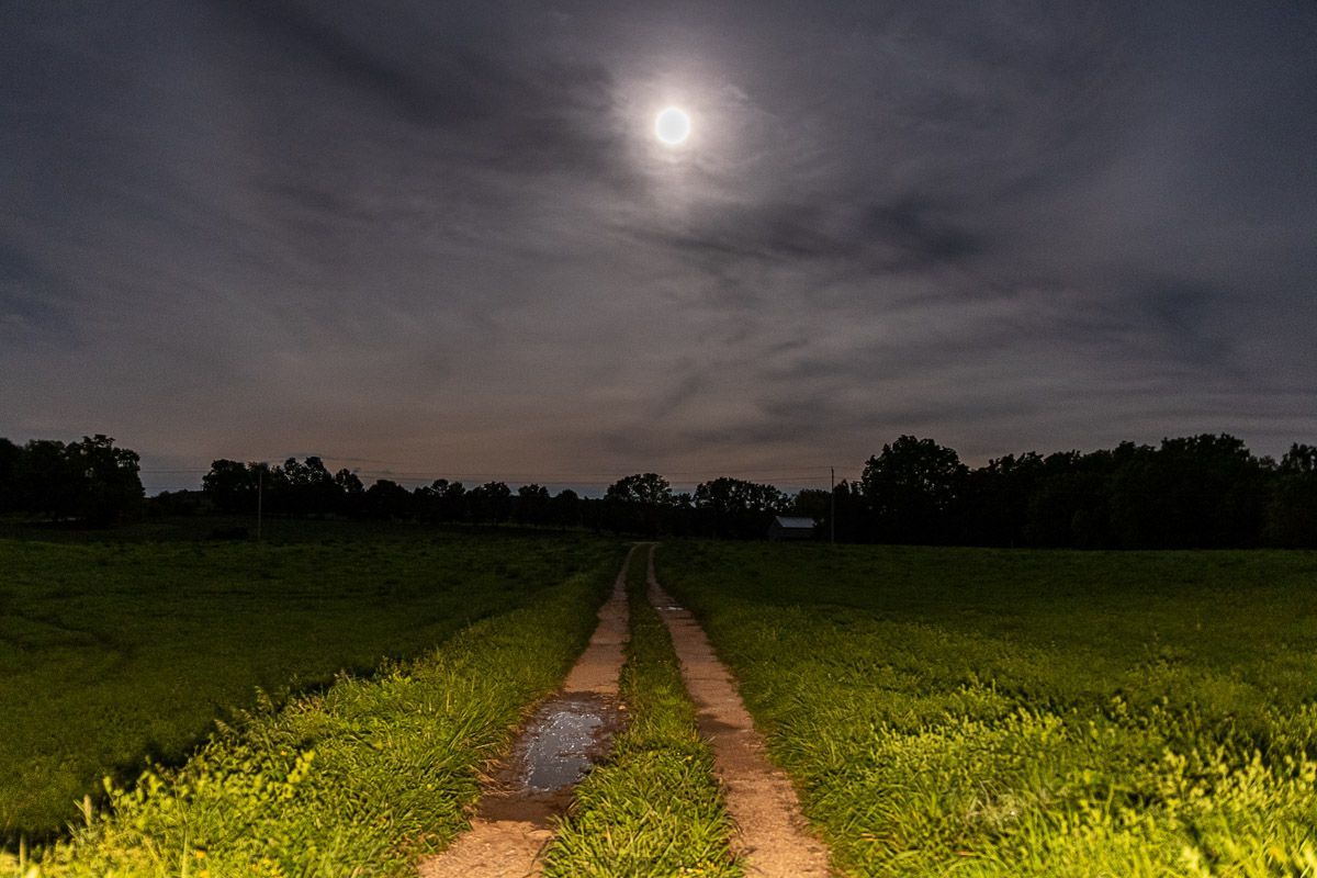 A dirt road going through a field at night with a full moon in the sky.