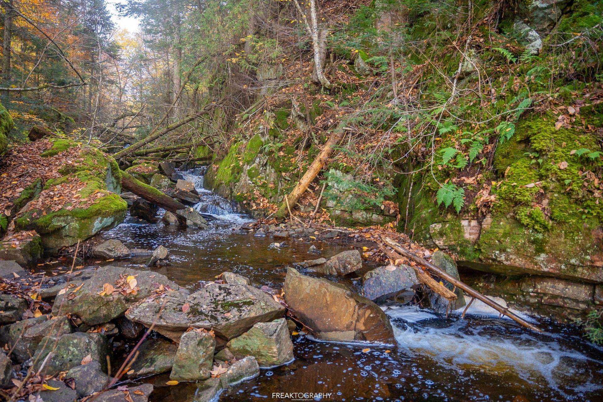 A river flowing through a lush green forest surrounded by rocks and trees.