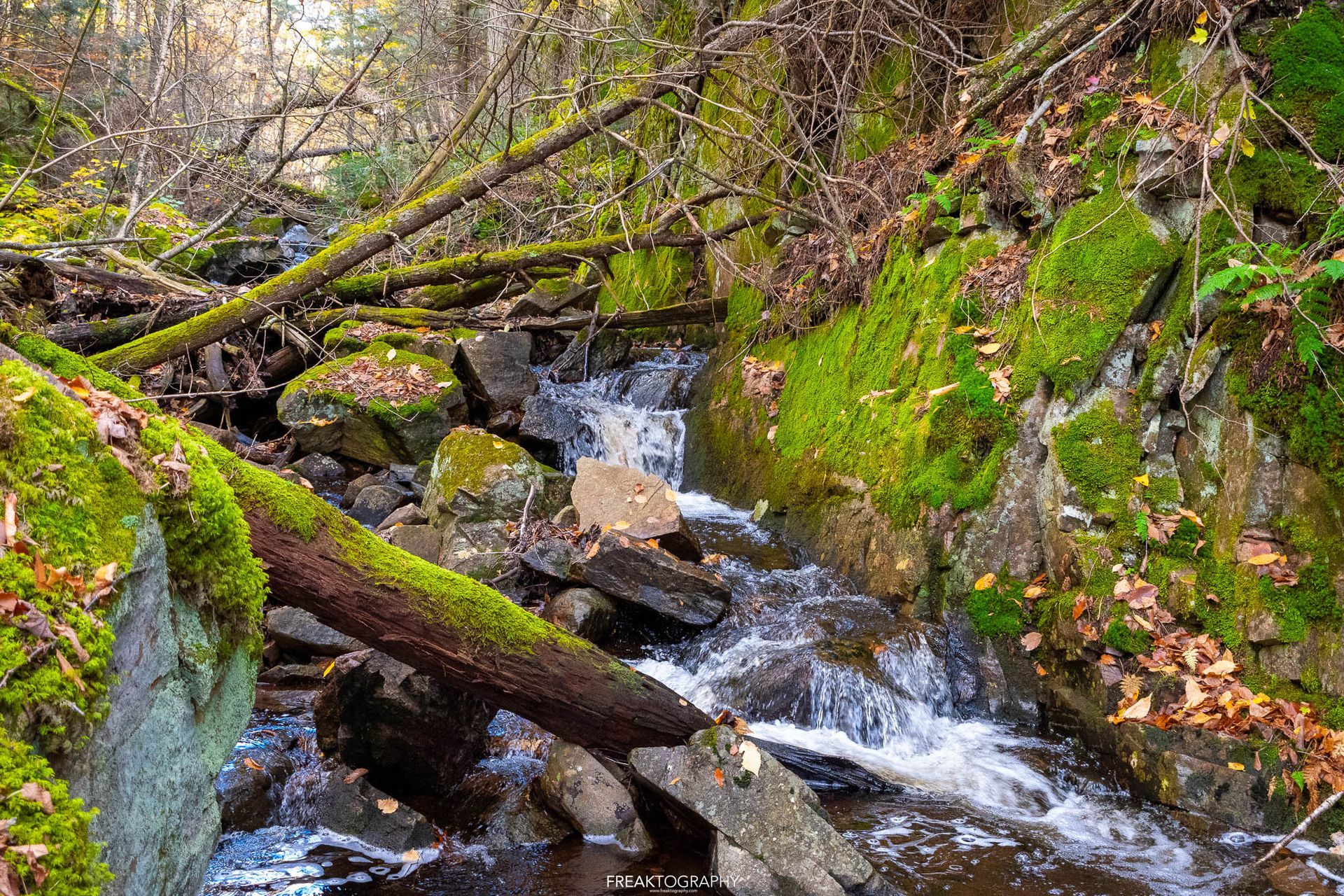 A small waterfall in the middle of a forest surrounded by mossy rocks and trees.