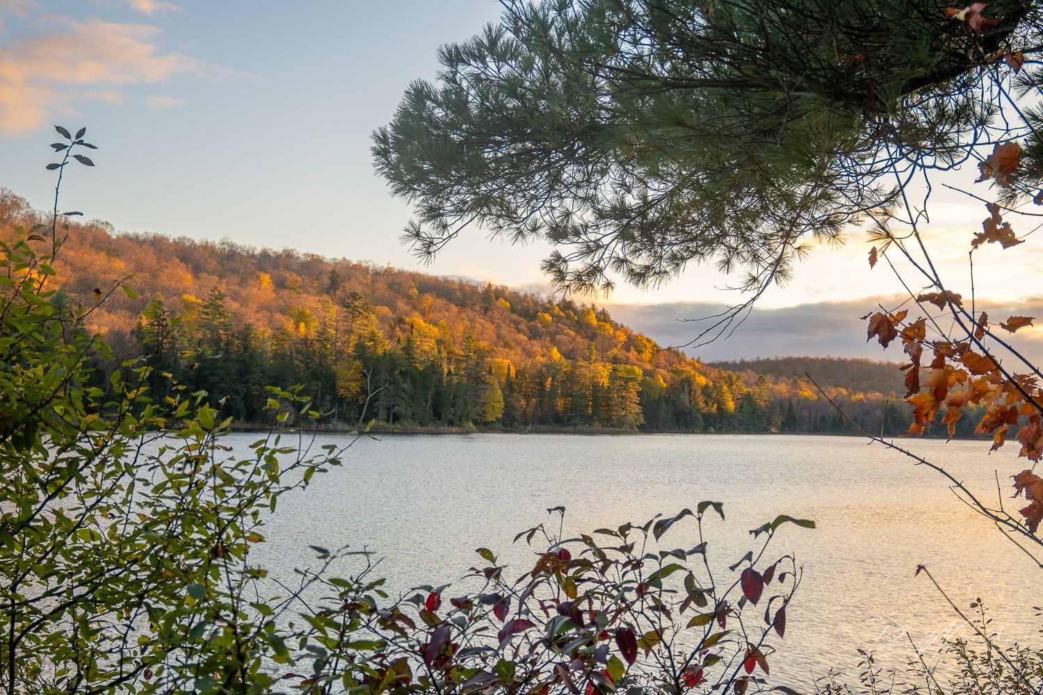 A lake with trees in the foreground and mountains in the background