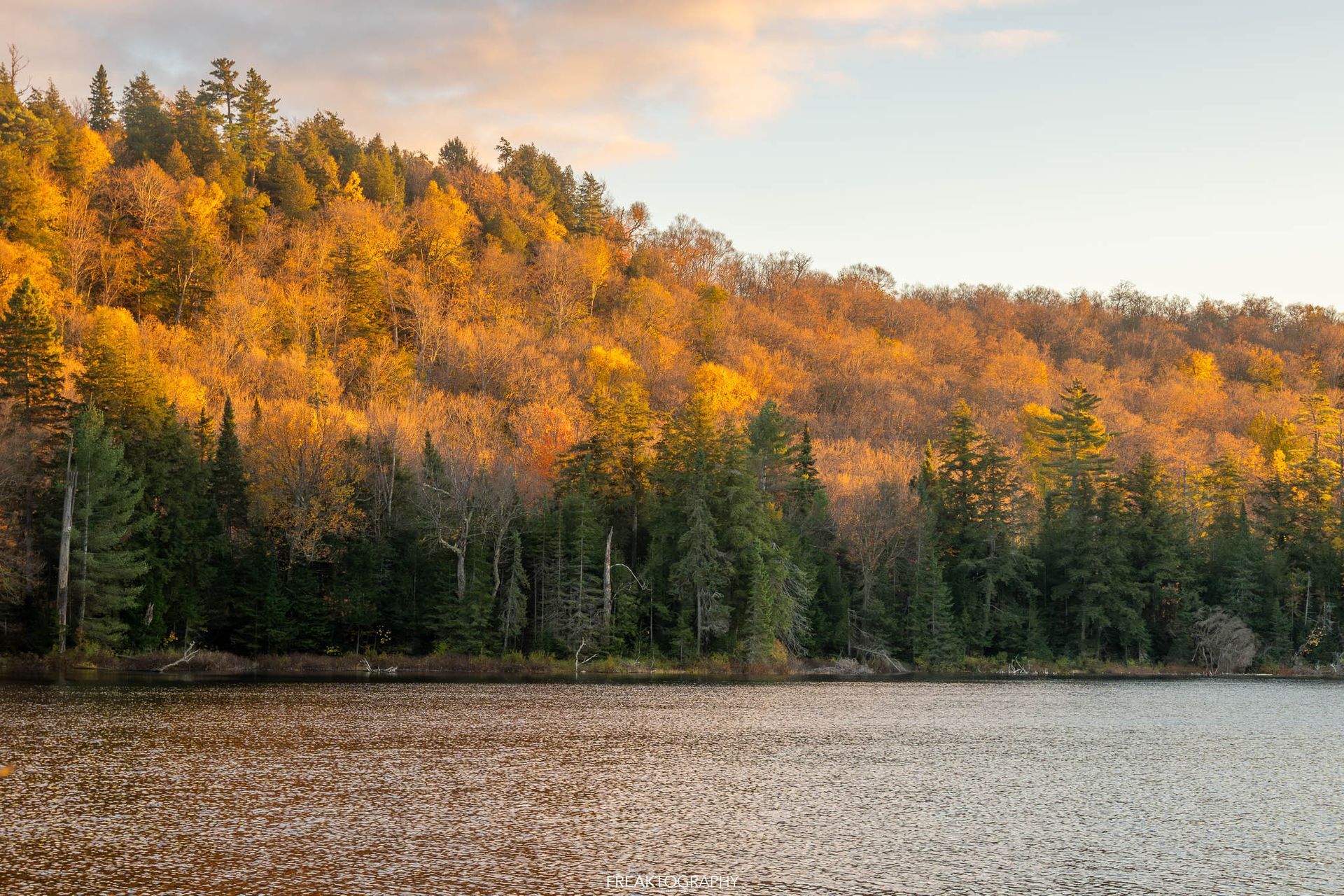 There is a lake in the middle of a forest with trees on the shore.