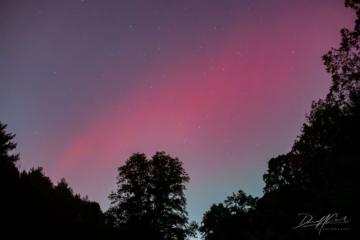 A pink and purple sky with trees in the foreground