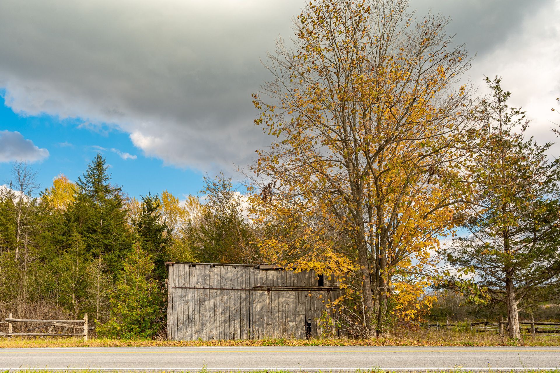 An old barn is sitting on the side of the road next to a tree.