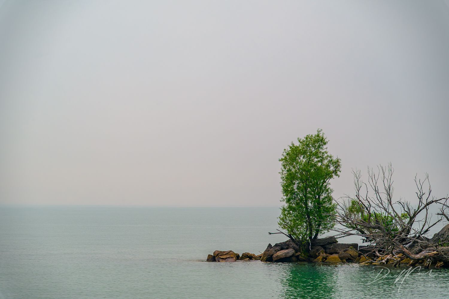 A small island in the middle of the ocean with a tree on it.