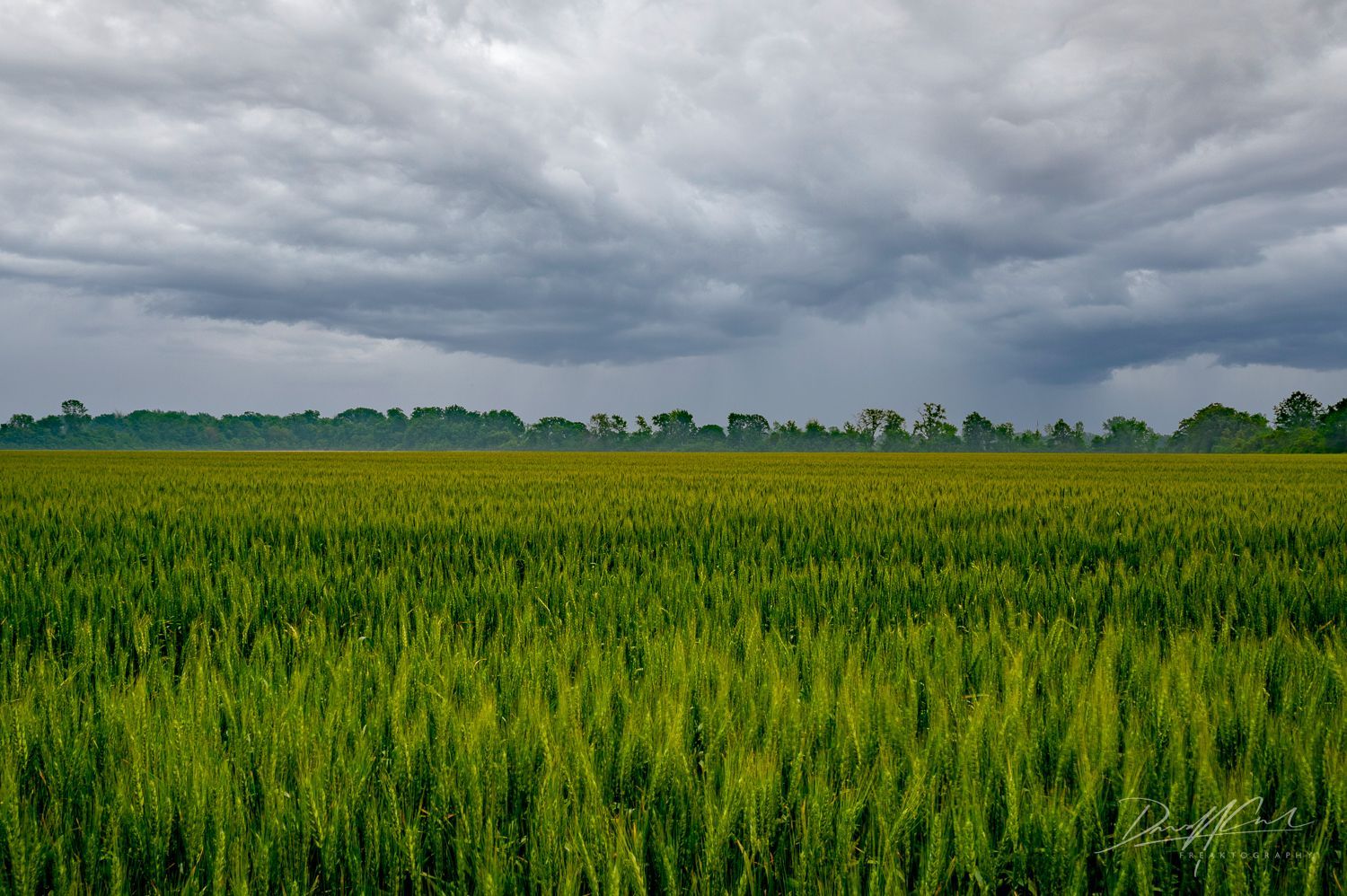 A large green field with a cloudy sky in the background