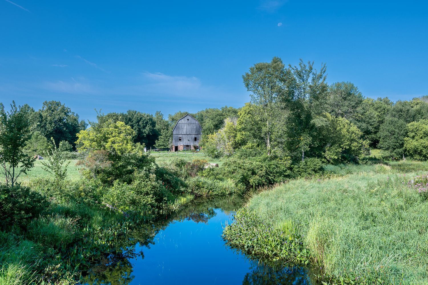 A river surrounded by trees and grass with a barn in the background.