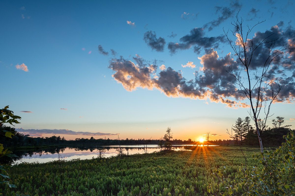The sun is setting over a lake with trees in the foreground.