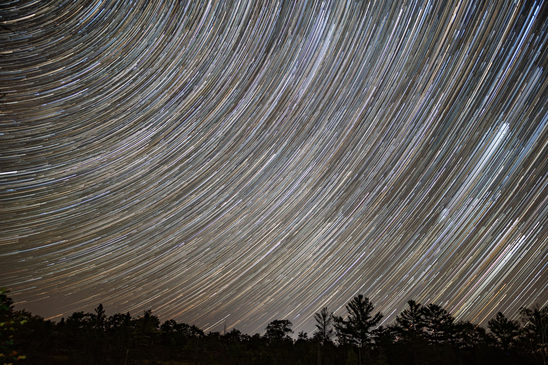 A long exposure of a starry night sky with trees in the foreground.