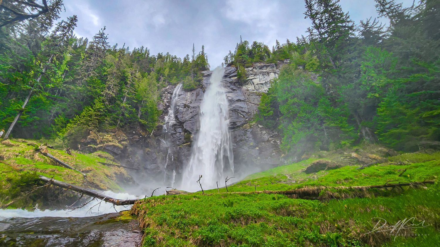 A waterfall is surrounded by trees and grass in the middle of a forest.