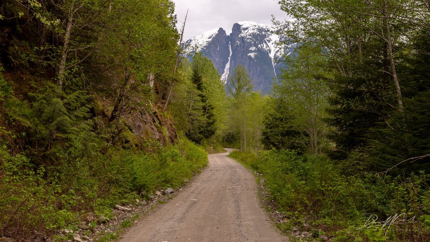 A dirt road going through a forest with a mountain in the background.