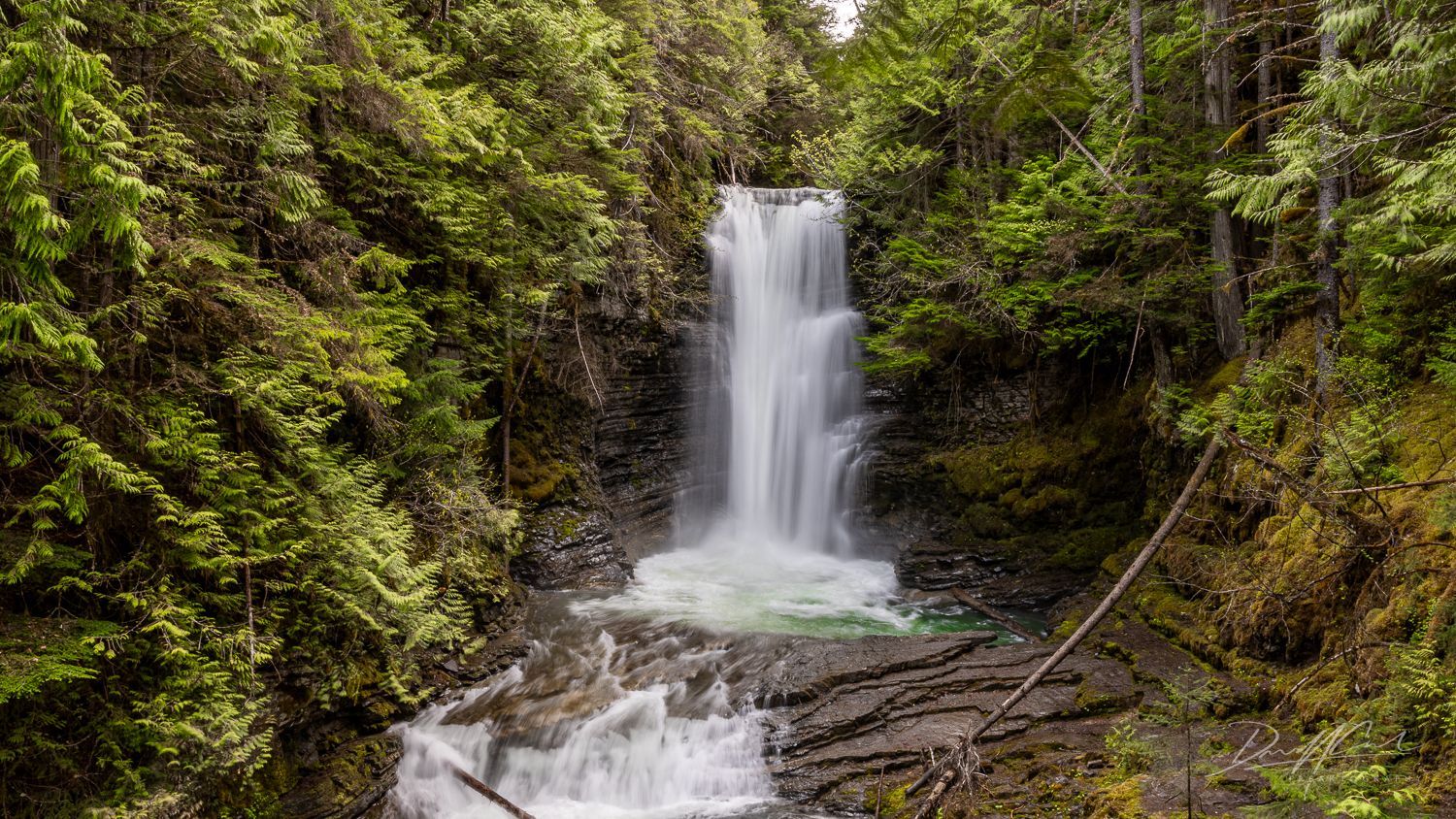 A waterfall in the middle of a forest surrounded by trees.