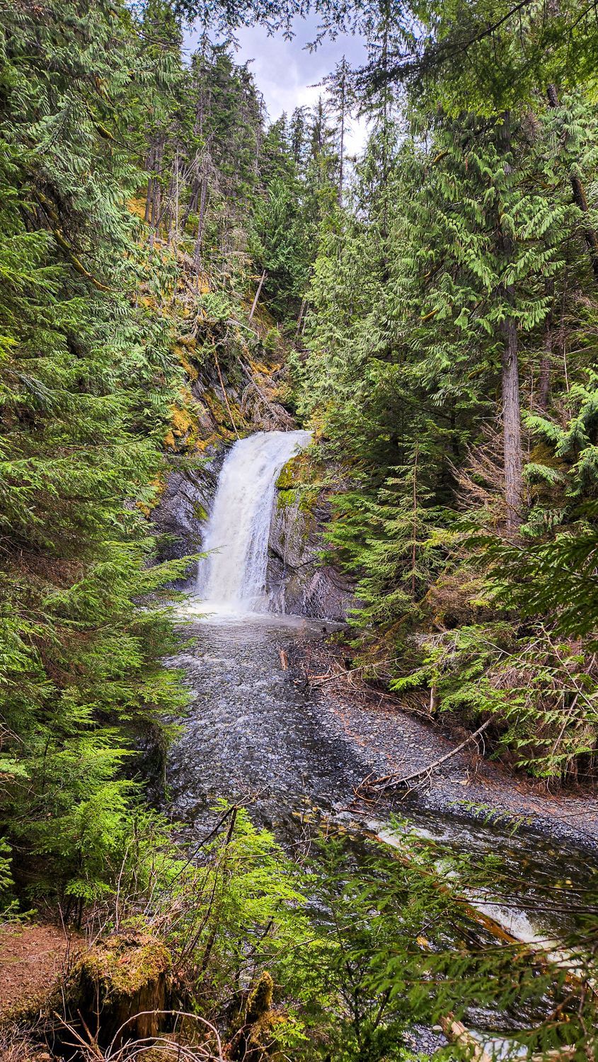 A waterfall in the middle of a forest surrounded by trees.