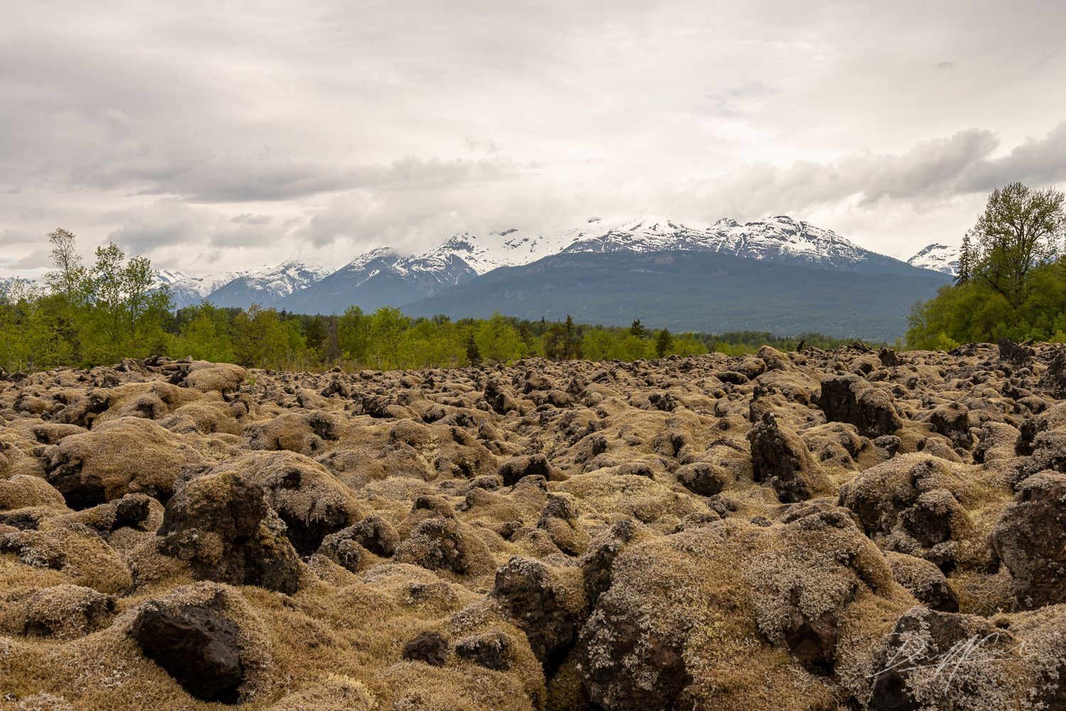 A field of rocks with mountains in the background