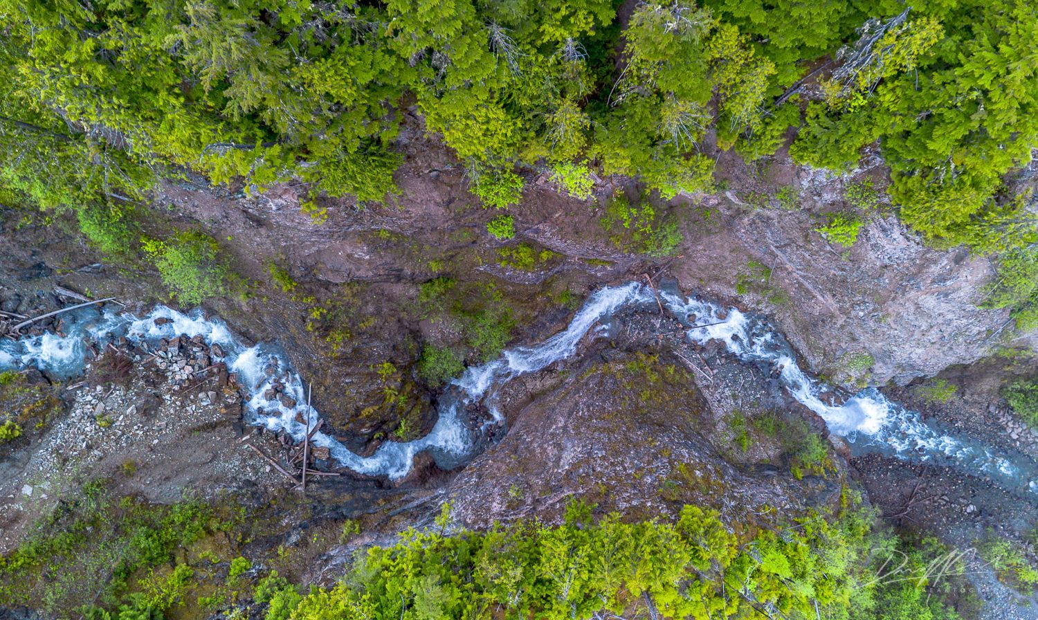 An aerial view of a river flowing through a forest.