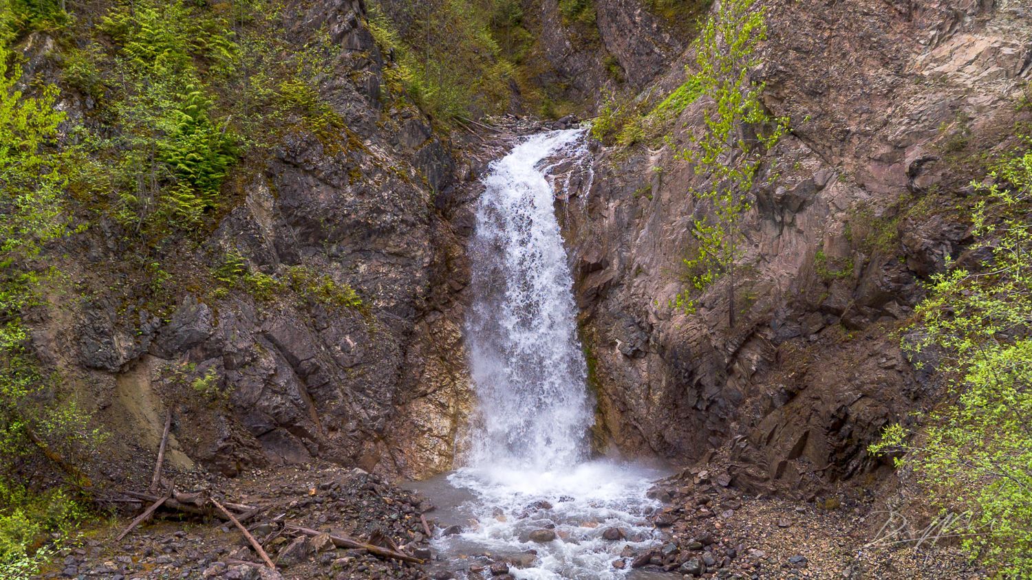 A small waterfall is surrounded by trees and rocks in the middle of a forest.