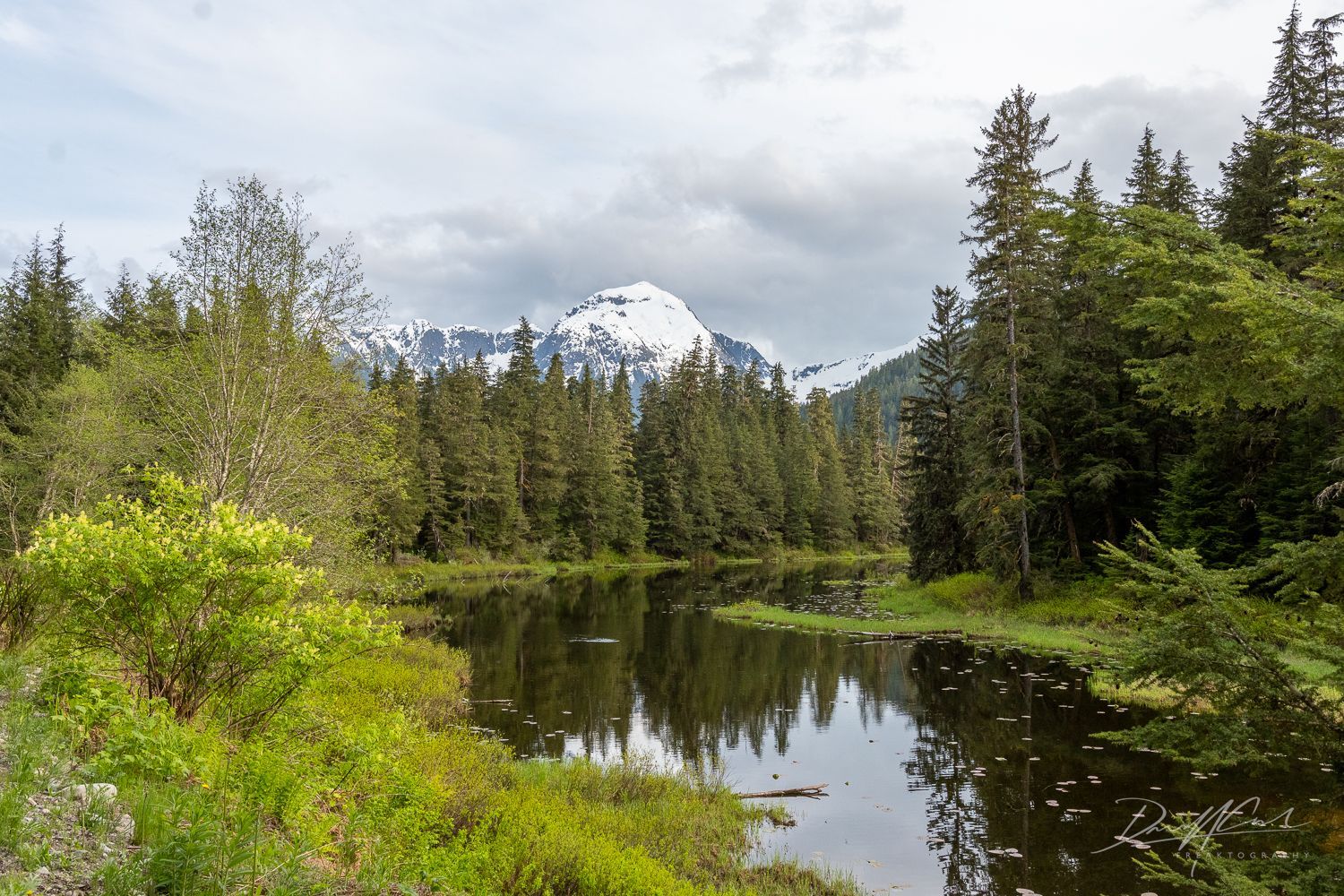 A lake in the middle of a forest with a mountain in the background.