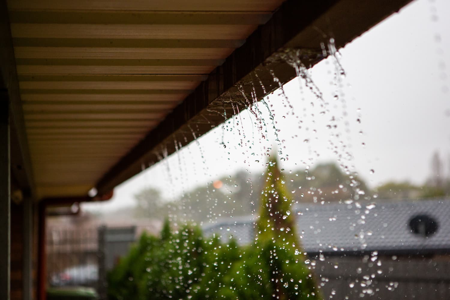 Overflowing House Gutters In Winter - Plumbing Services in Lismore, NSW