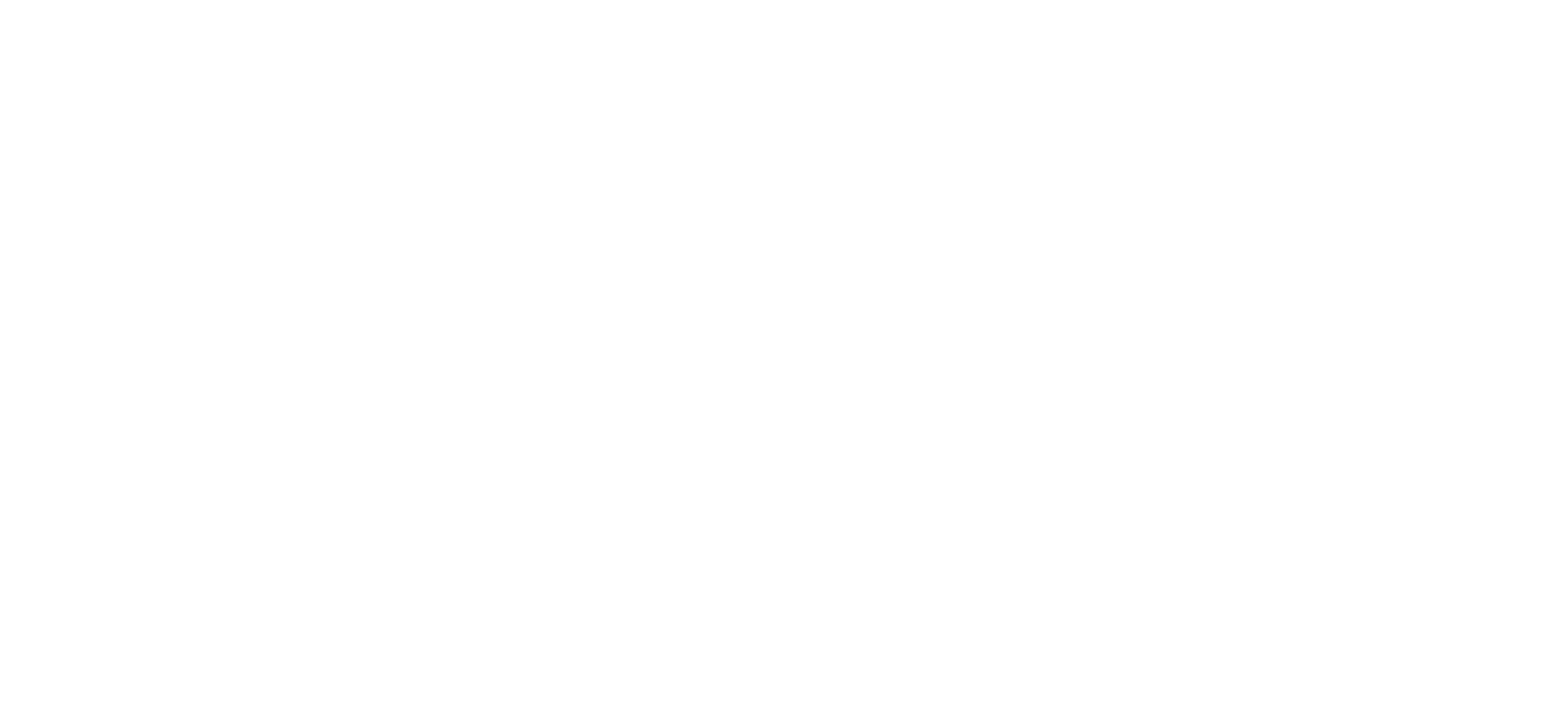 Company Logo - Footer