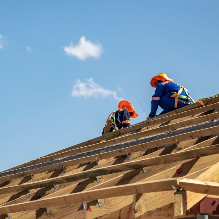 Two construction workers are working on a wooden roof