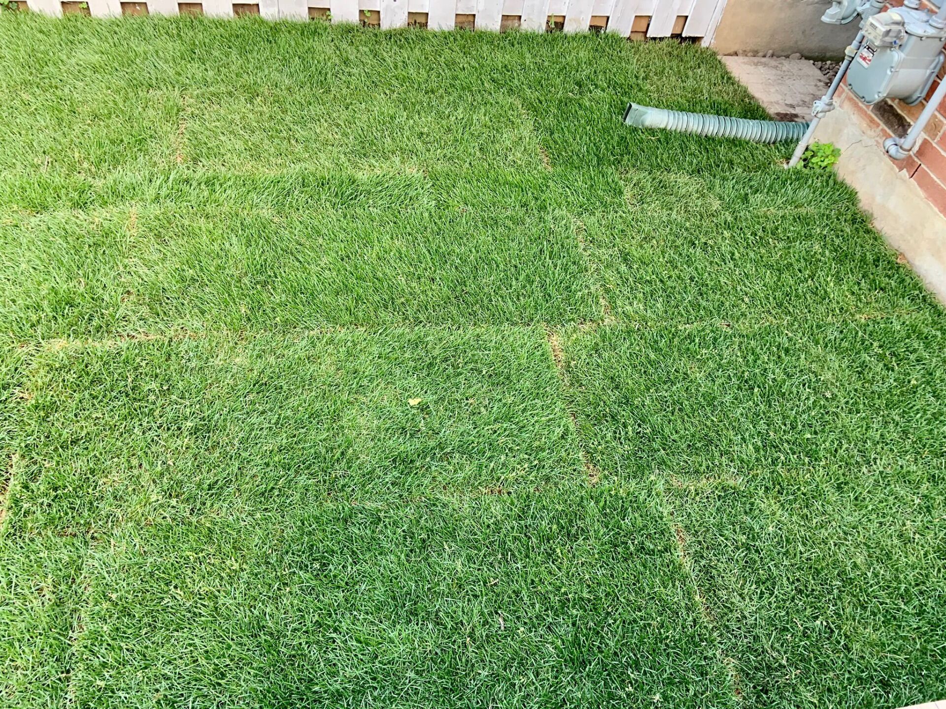 Commercial Landscaping Lawn Mowing & Sod Installation Service Woodstock
