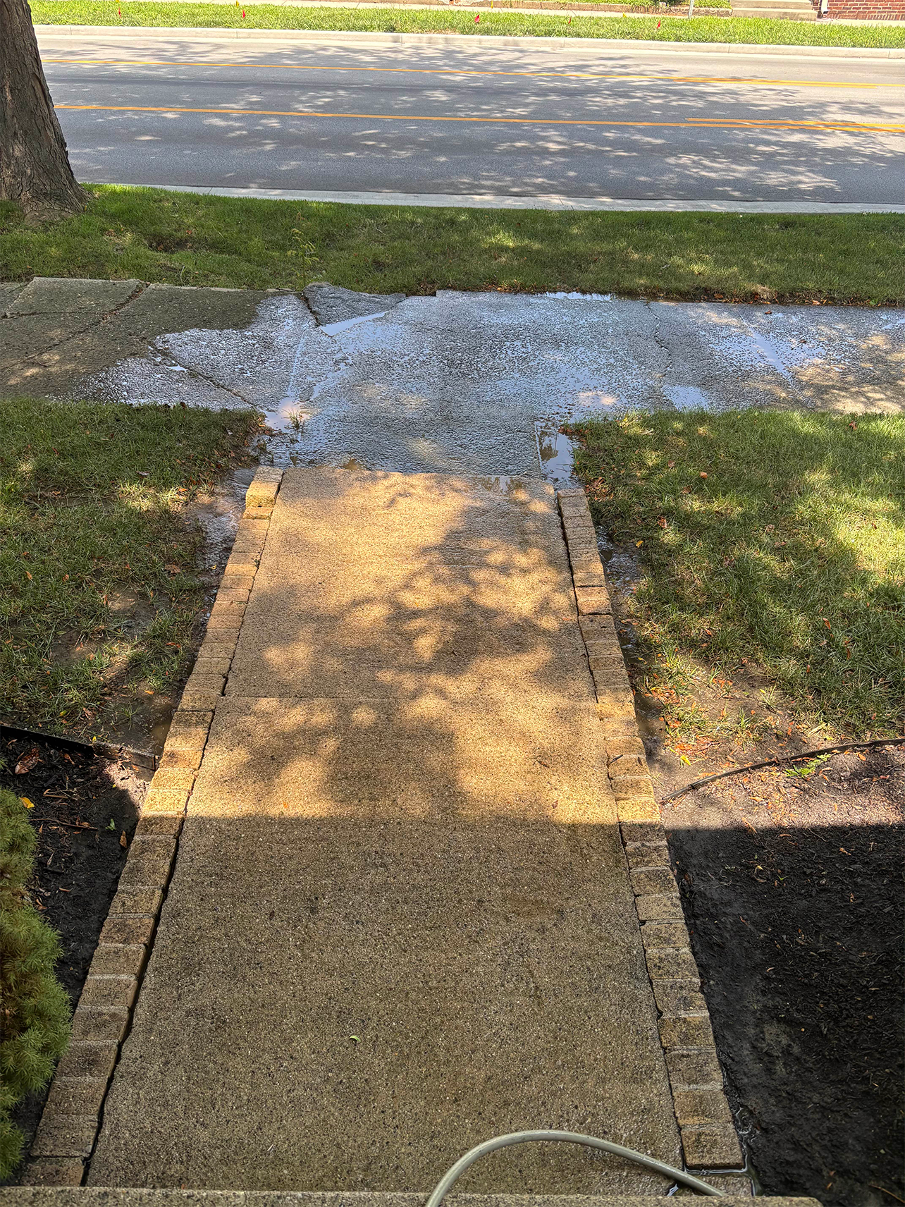 Pathway with a wet concrete surface and grass, sidewalk and road in background.