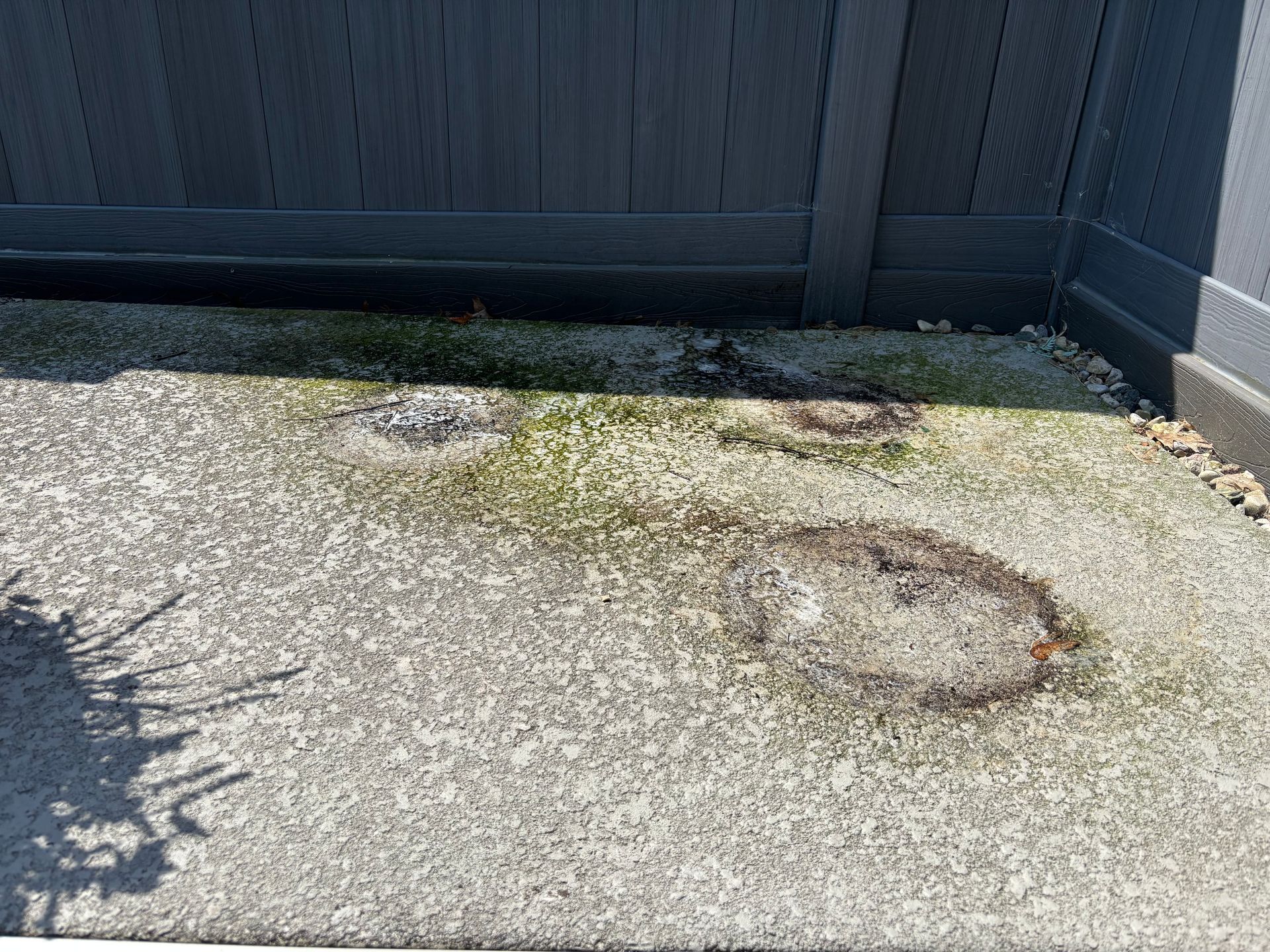 Concrete surface with dark stains, greenish algae, and a grey fence.