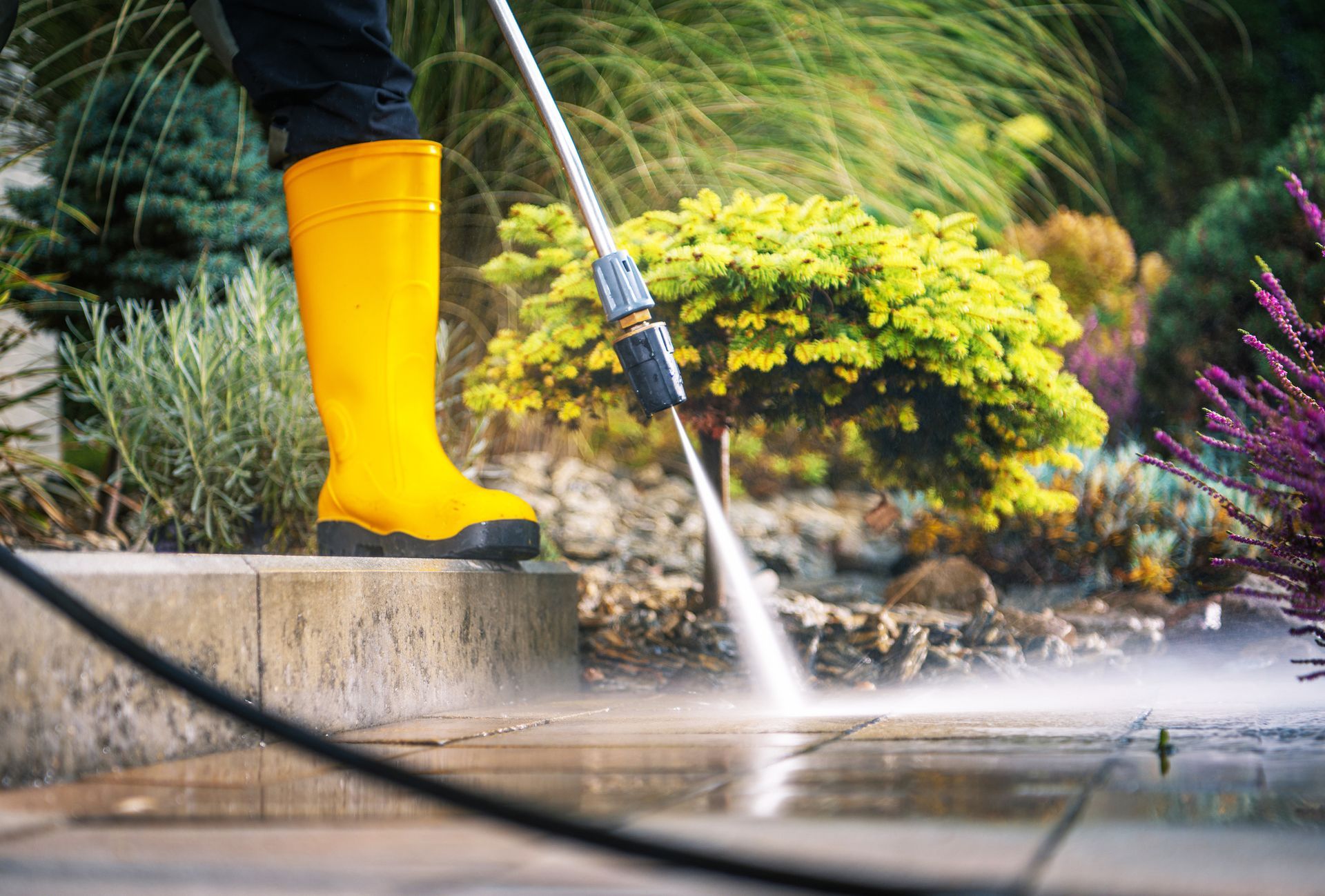 Person in yellow boot power washing a stone patio near green and purple plants.