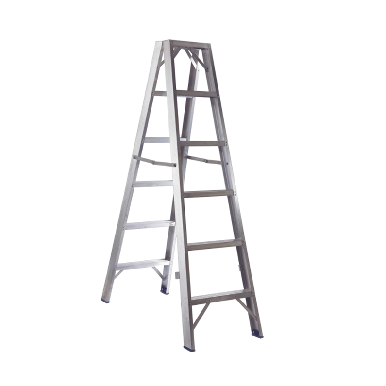 silver double sided step ladder