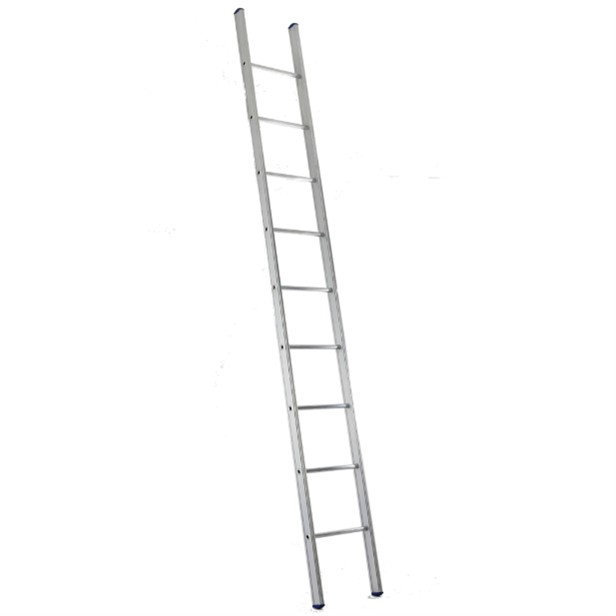 silver single ladder