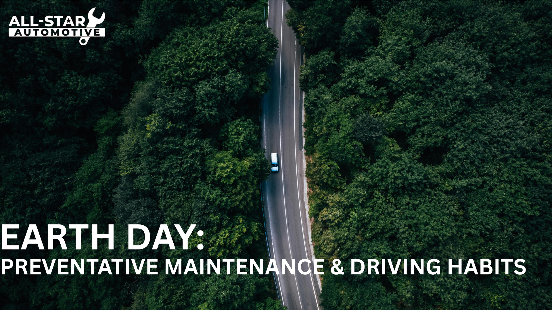 Car driving on road with green trees