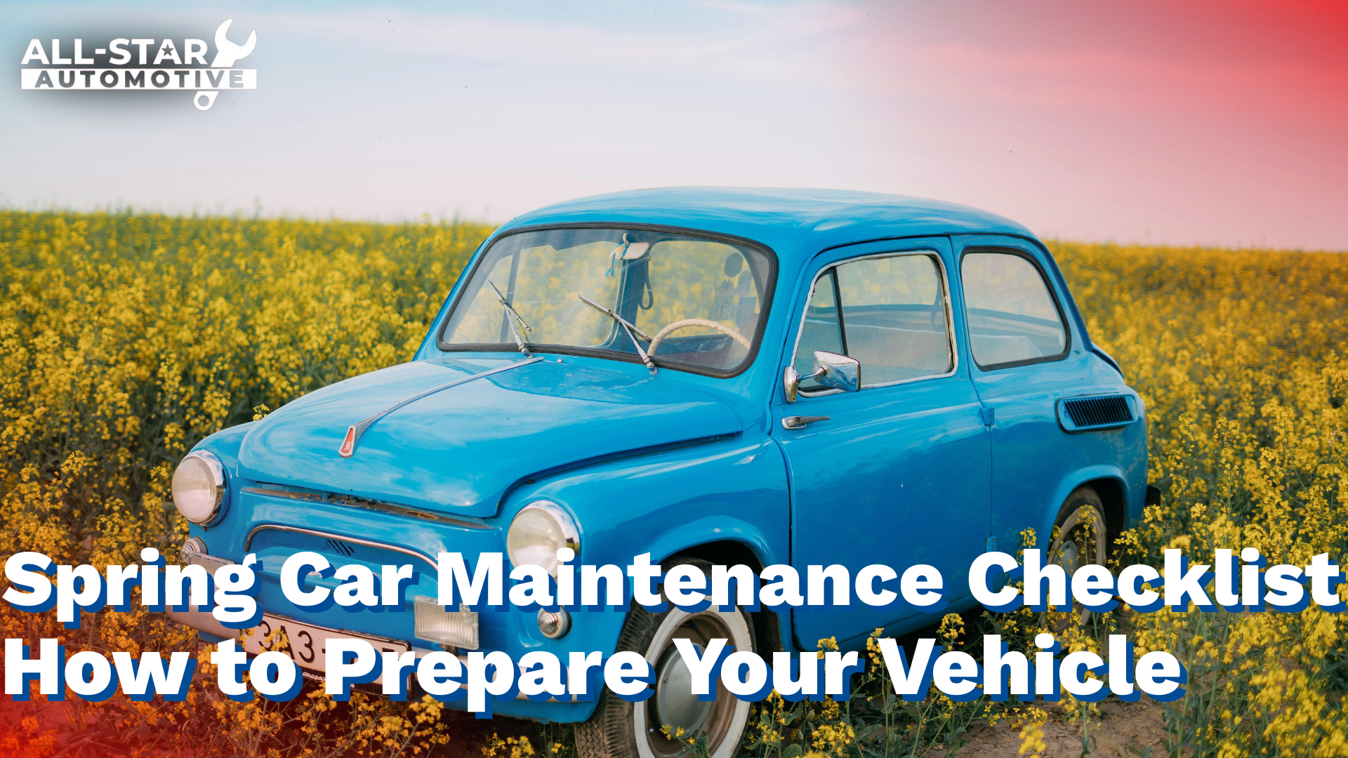 Car in field of yellow flowers