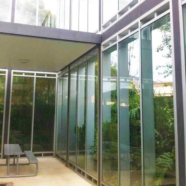 glass showcasing outdoor greenery