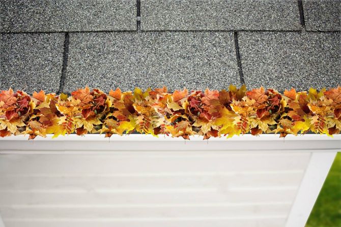 A gutter with leaves on it and a roof in the background.