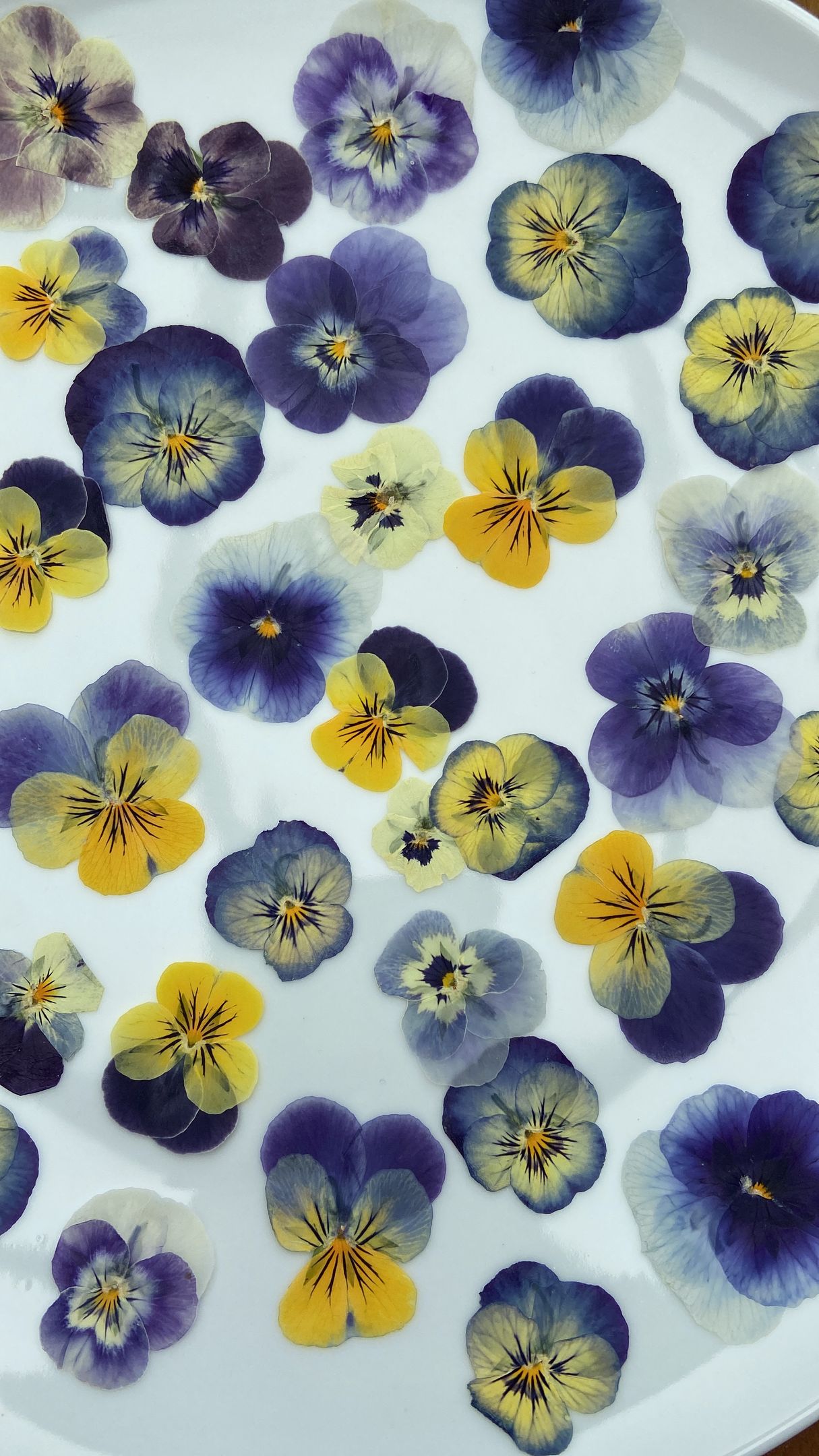 A white plate with purple and yellow flowers on it