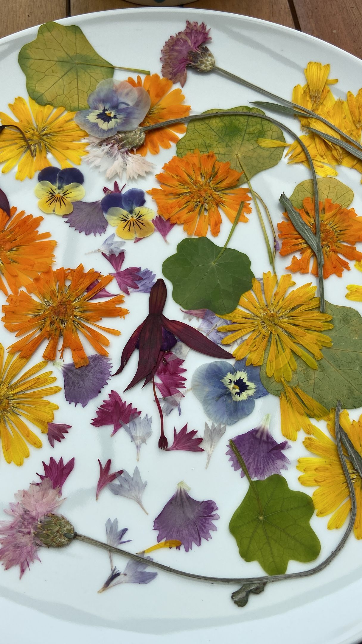 A white plate topped with pressed flowers and leaves