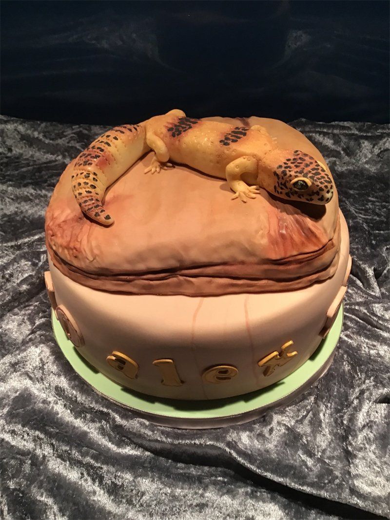 Gecko on rock cake