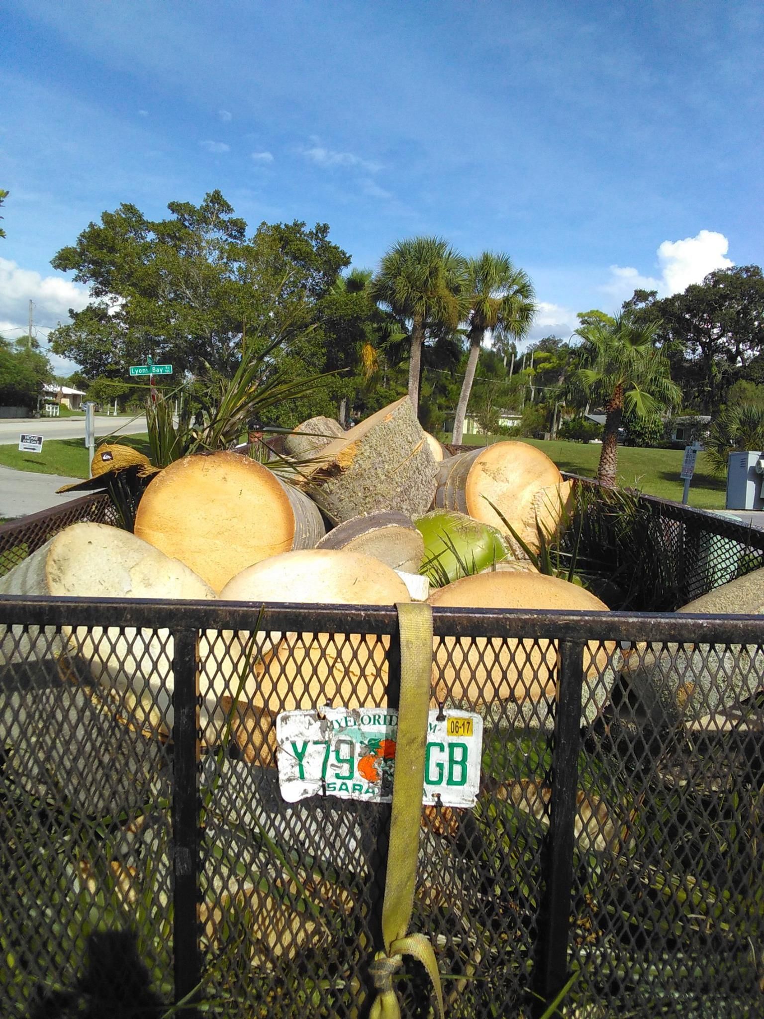 A fence with a license plate that says y79 gb