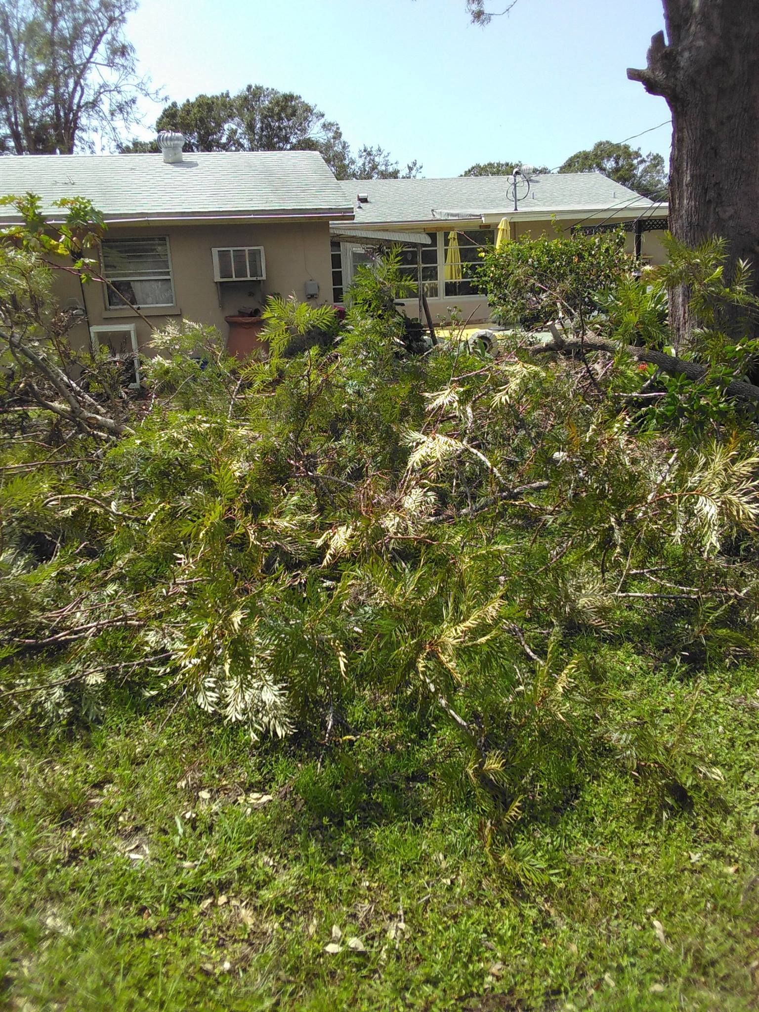 Debris Removal | Sarasota, FL | T.B.B Tree Service
