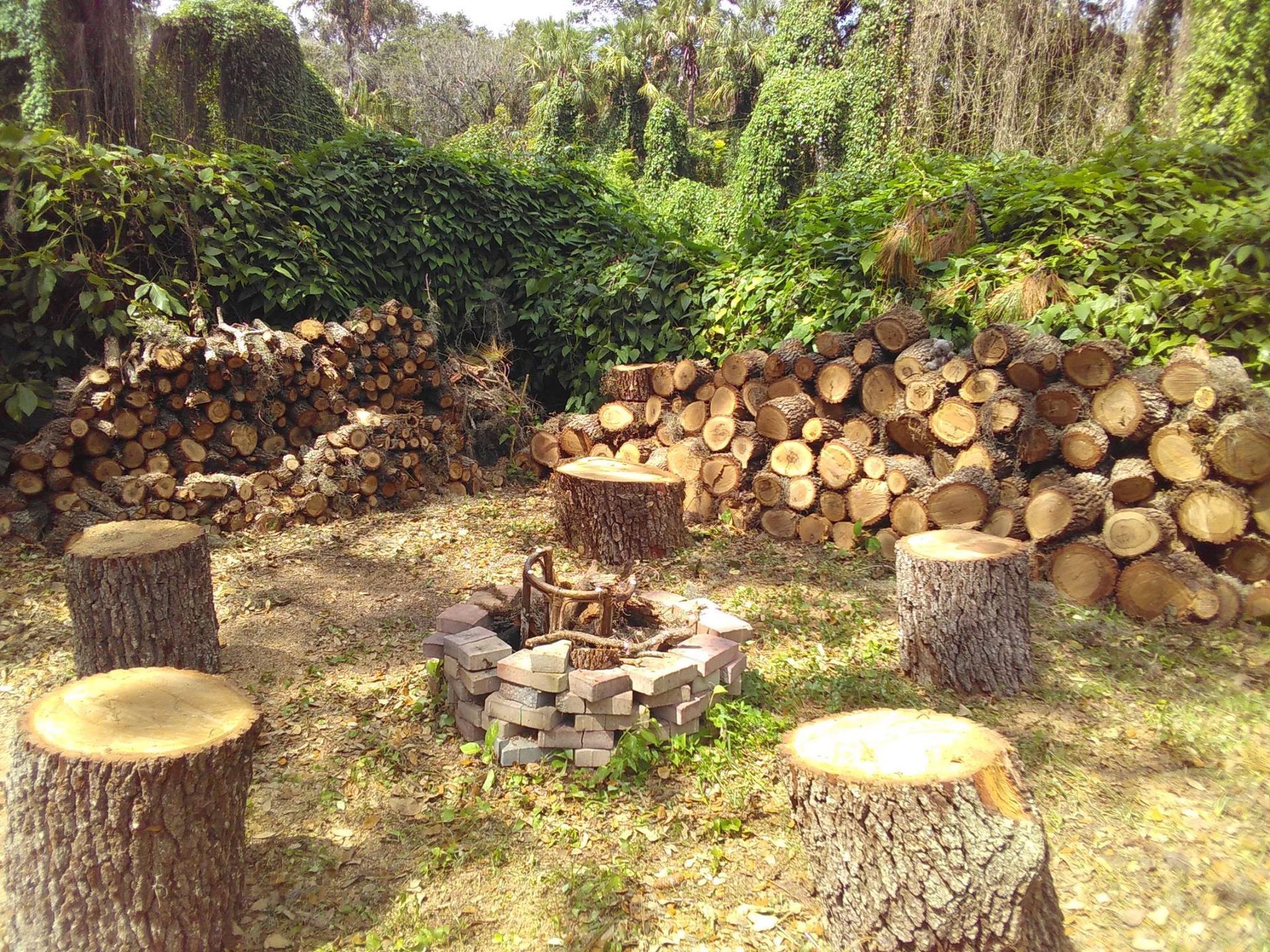 A fire pit is surrounded by stump stools and a pile of logs.