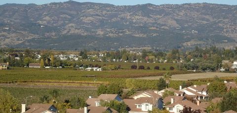 A view of Napa Valley on a sunny day,