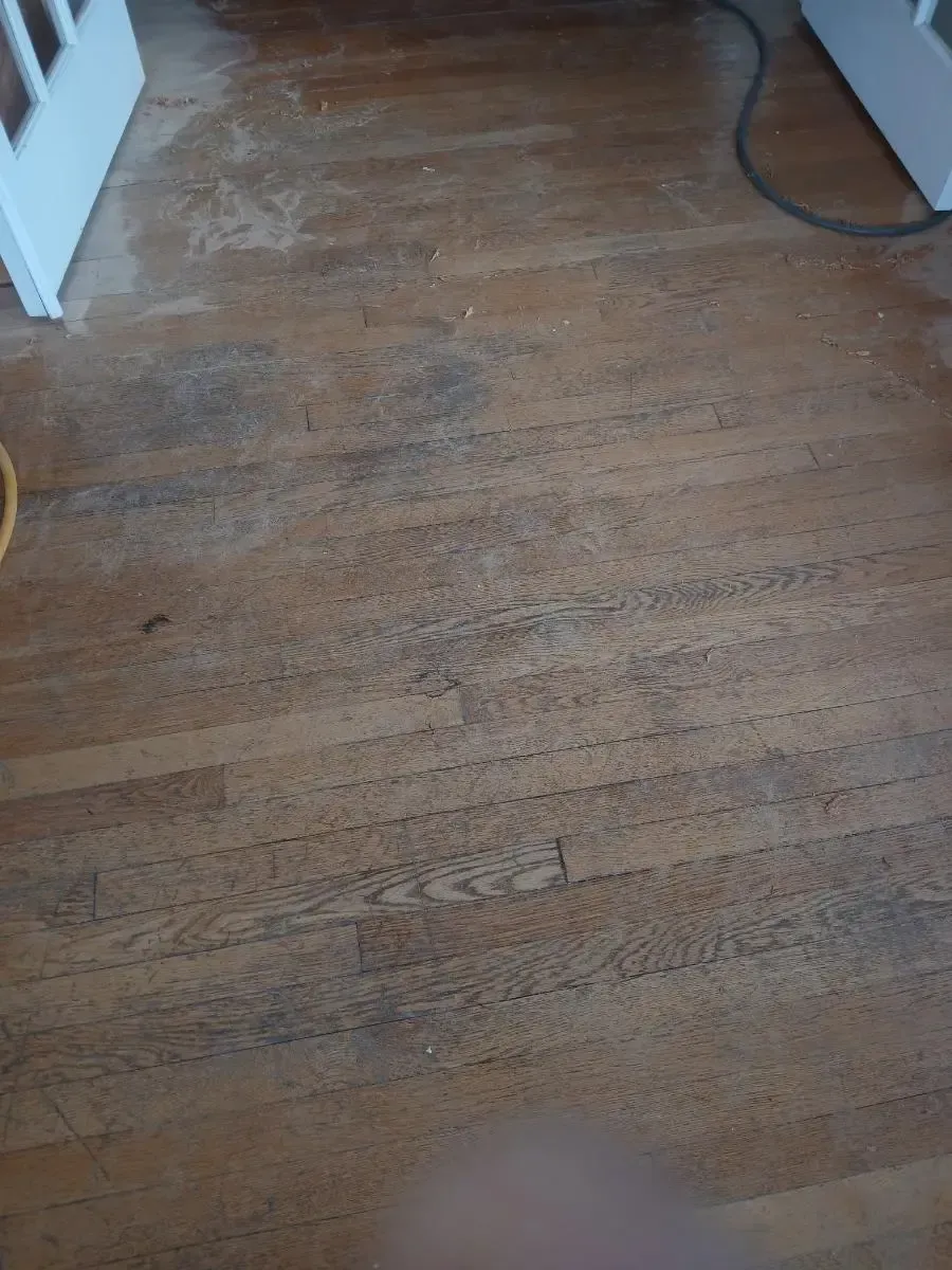 Wooden floor with dark patches and some debris near a doorway.