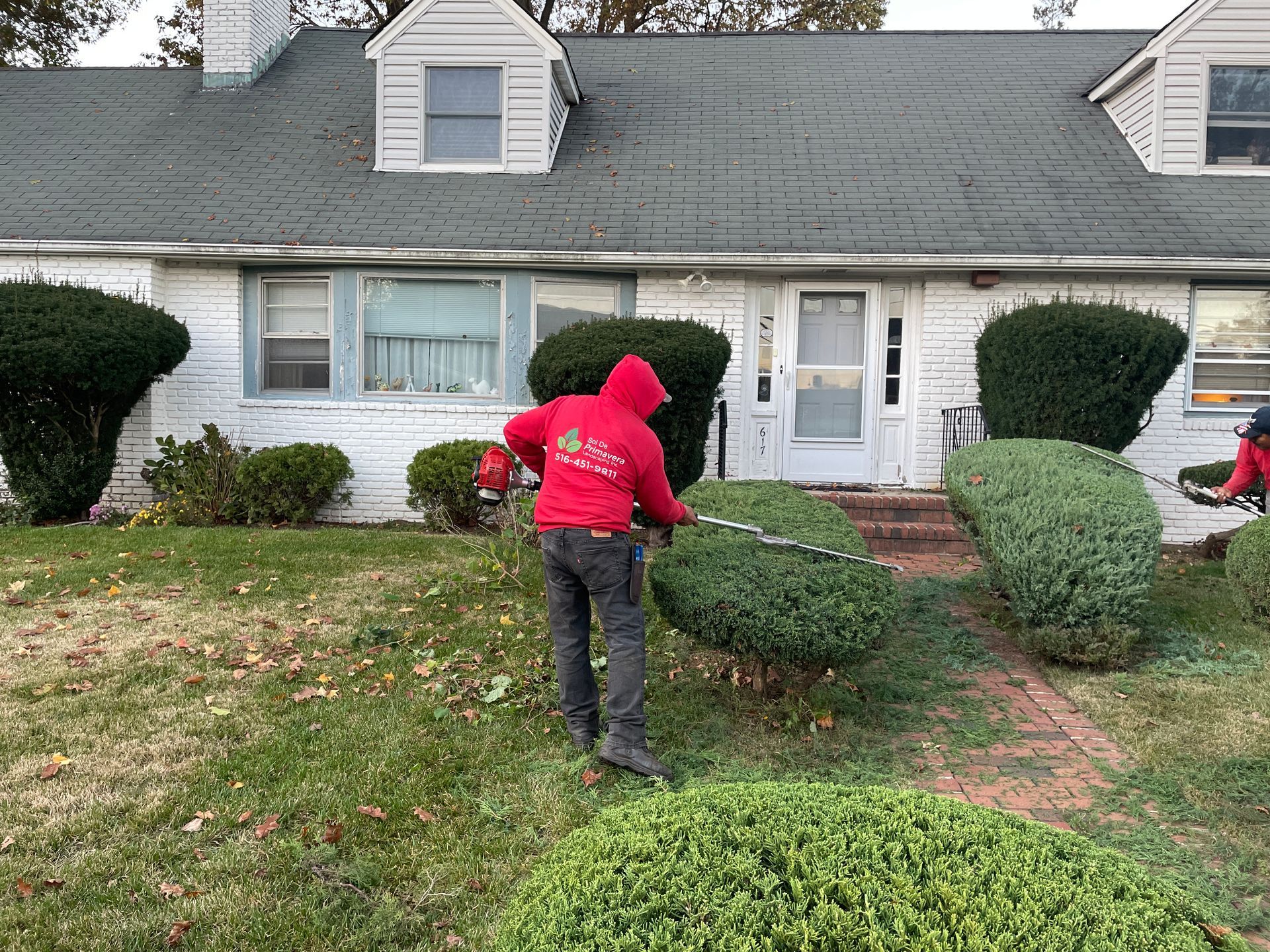 A man in a red hoodie is trimming bushes in front of a white house.