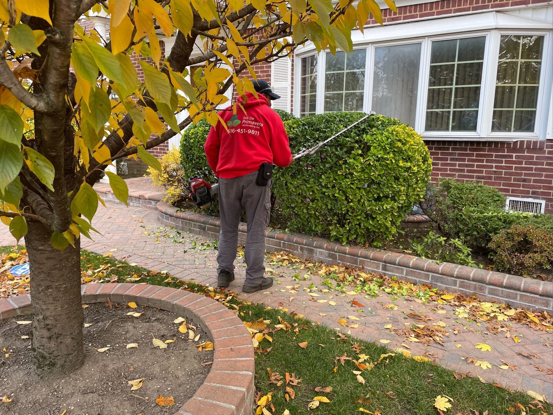 A man in a red hoodie is cutting a hedge with a lawn mower.