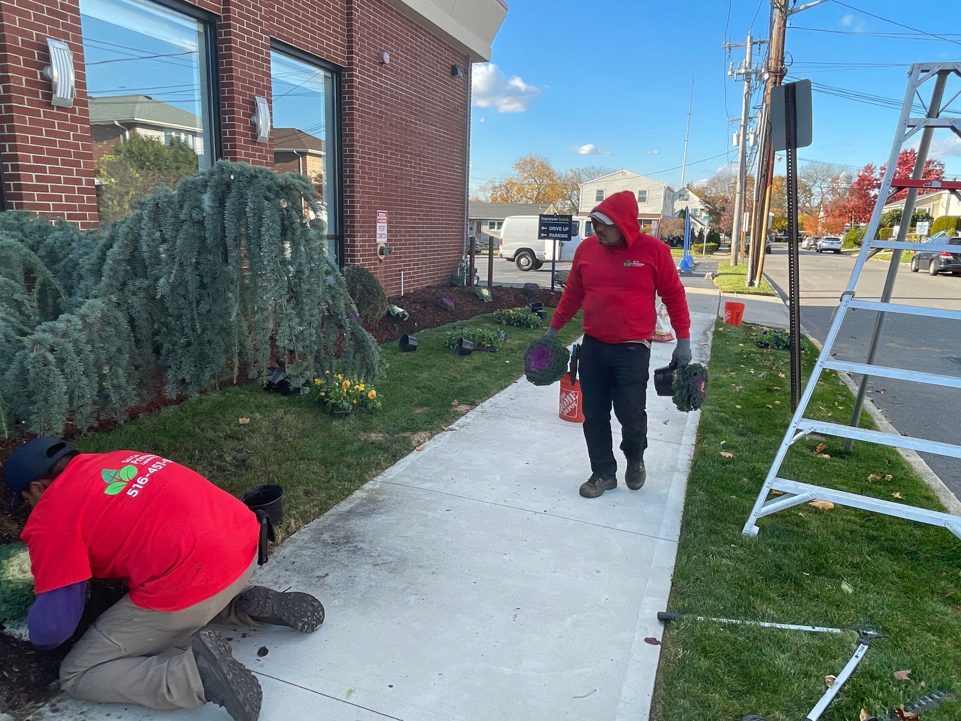 Two men are working on a christmas tree outside of a building.