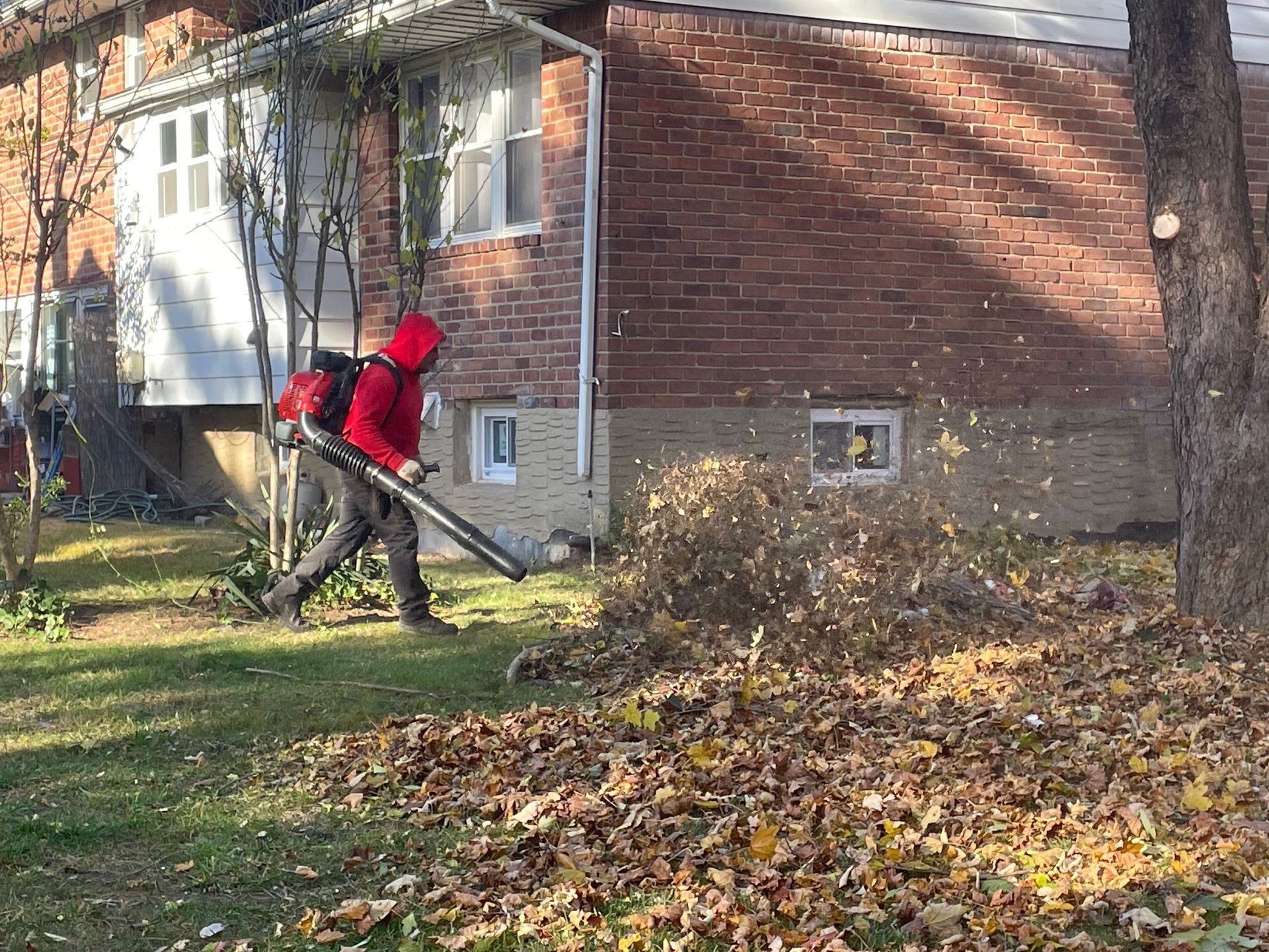 A person is blowing leaves in front of a brick house.