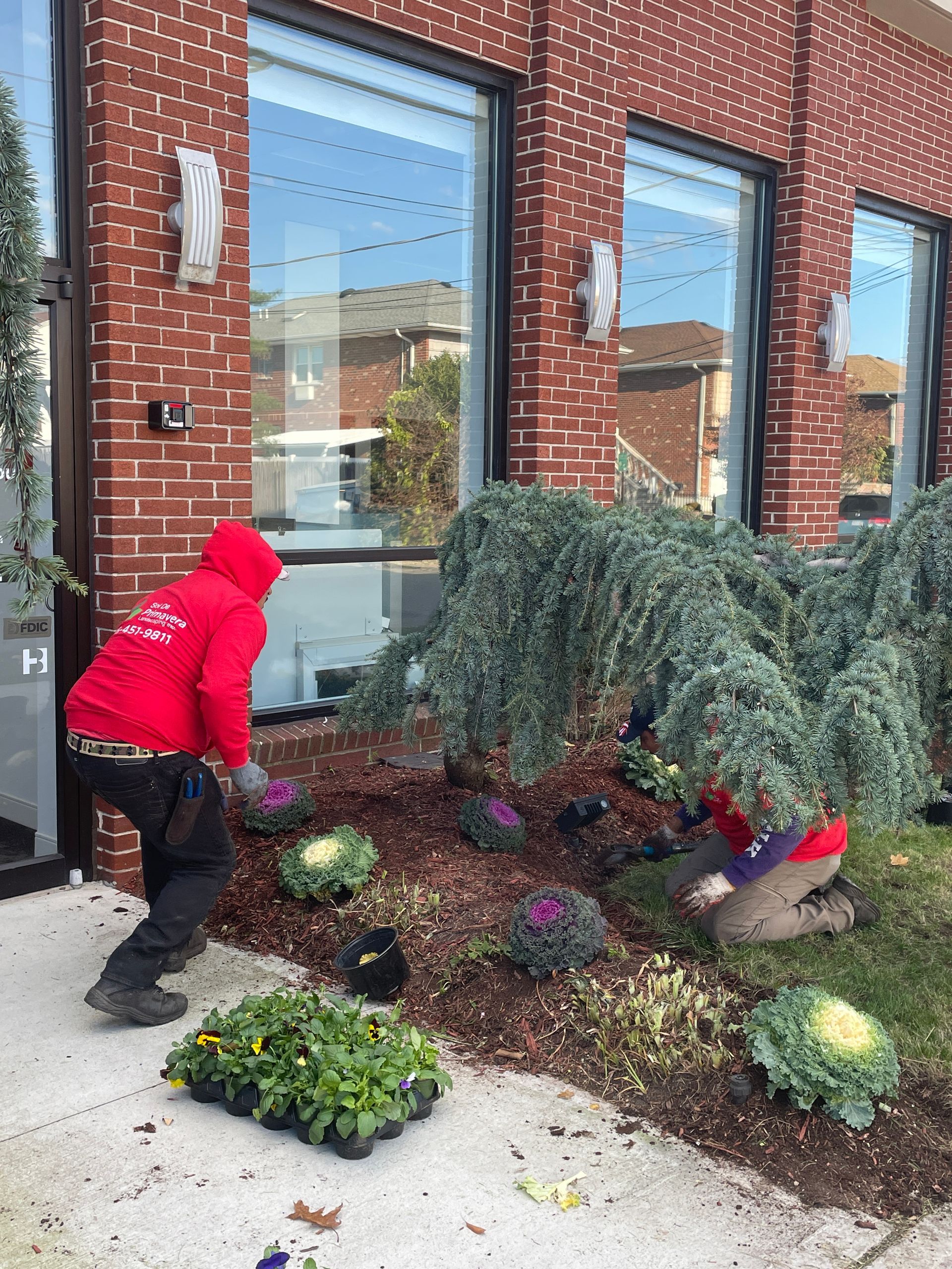 A man in a red hoodie is planting flowers in front of a brick building.